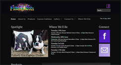 Desktop Screenshot of flashybits.com.au