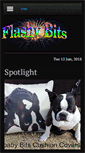 Mobile Screenshot of flashybits.com.au